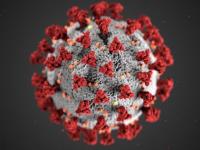 COVID Virus